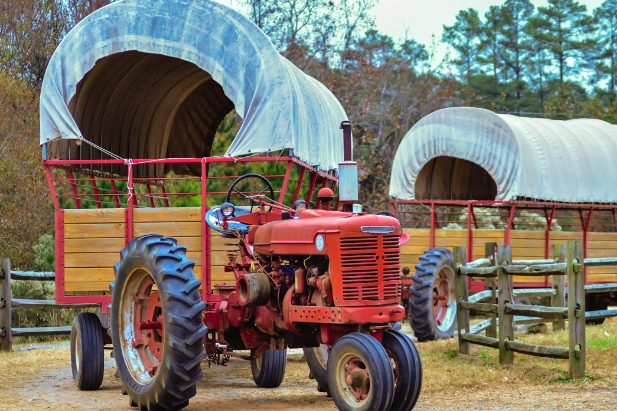 Picture of hayride