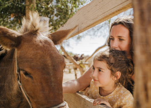 Picture of petting zoo